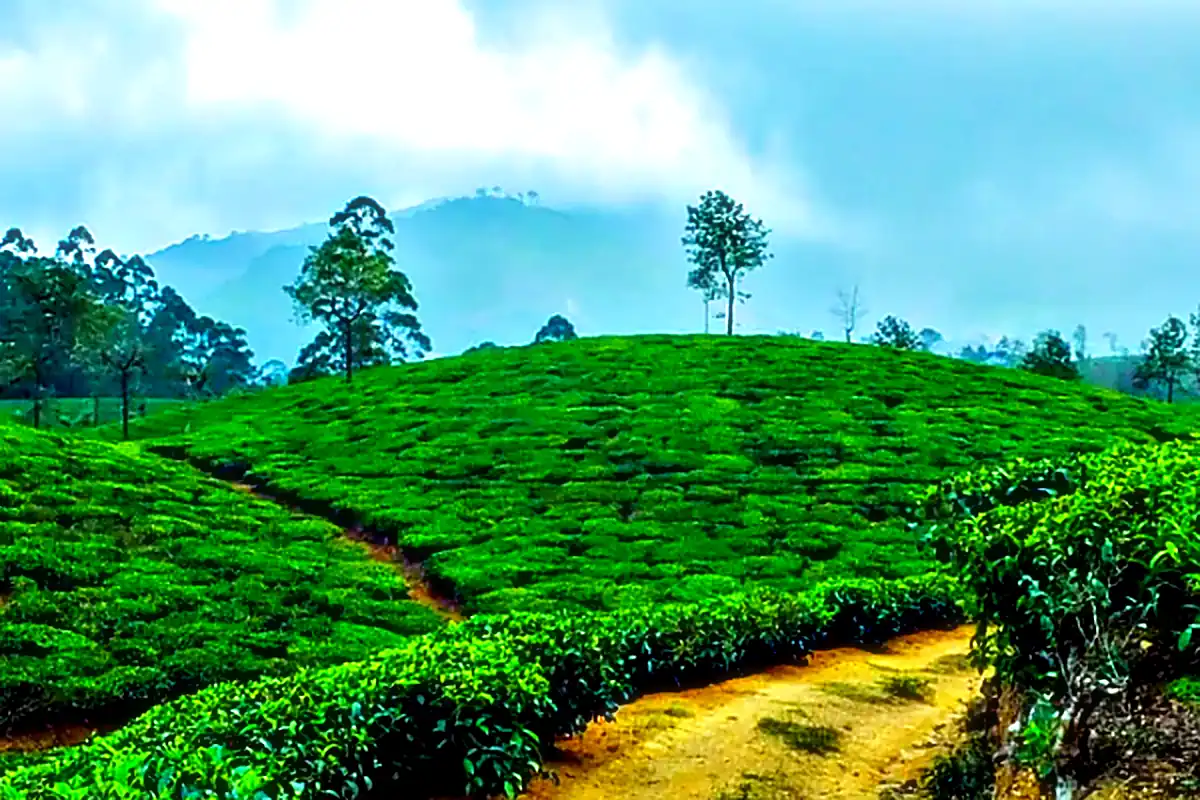 Daringbadi