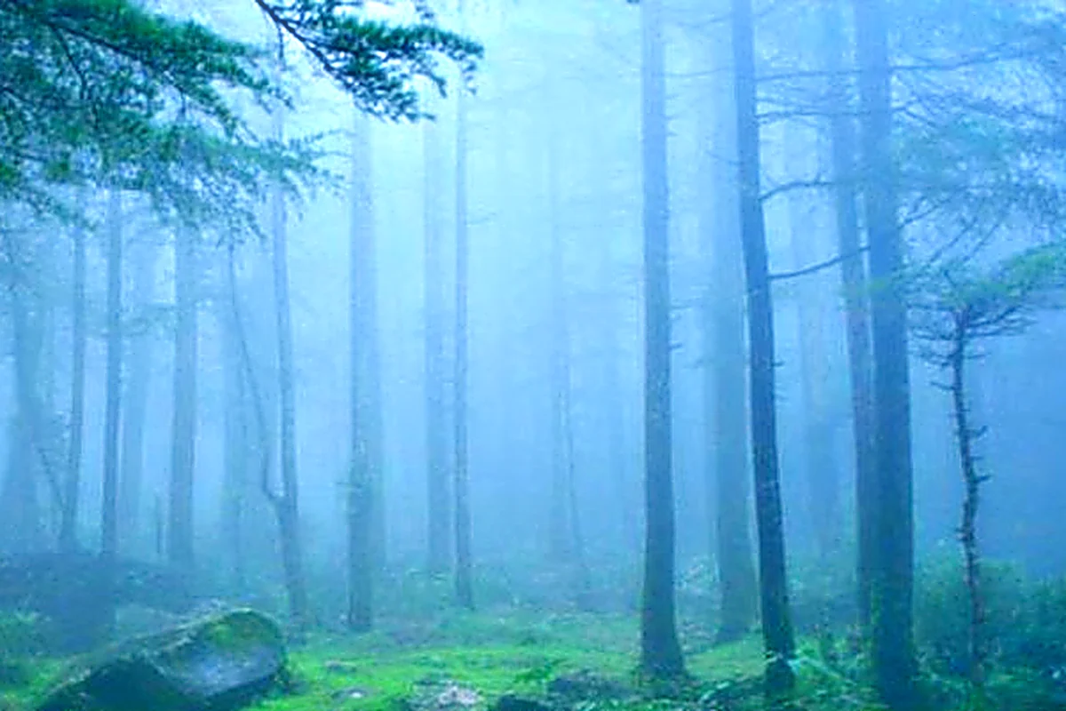 DaringBadi Explore
